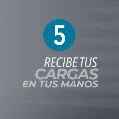 paso 5